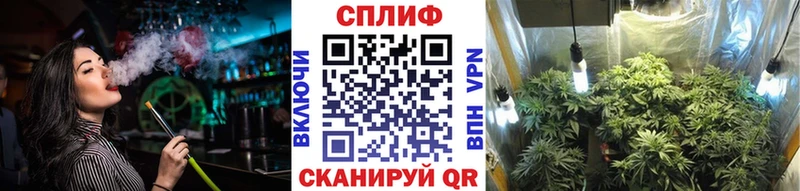 Виды наркотиков купить Западная Двина Альфа ПВП  ГАШИШ  МЕТАМФЕТАМИН  Cocaine 