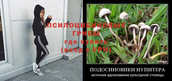 трава Абдулино