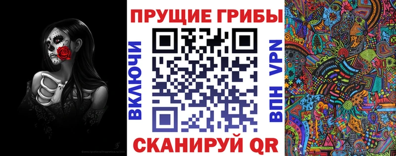 купить  цена  Западная Двина  MEGA онион  площадка наркотические препараты  Галлюциногенные грибы мухоморы 