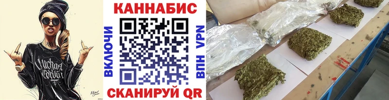 Марихуана гибрид  Западная Двина 